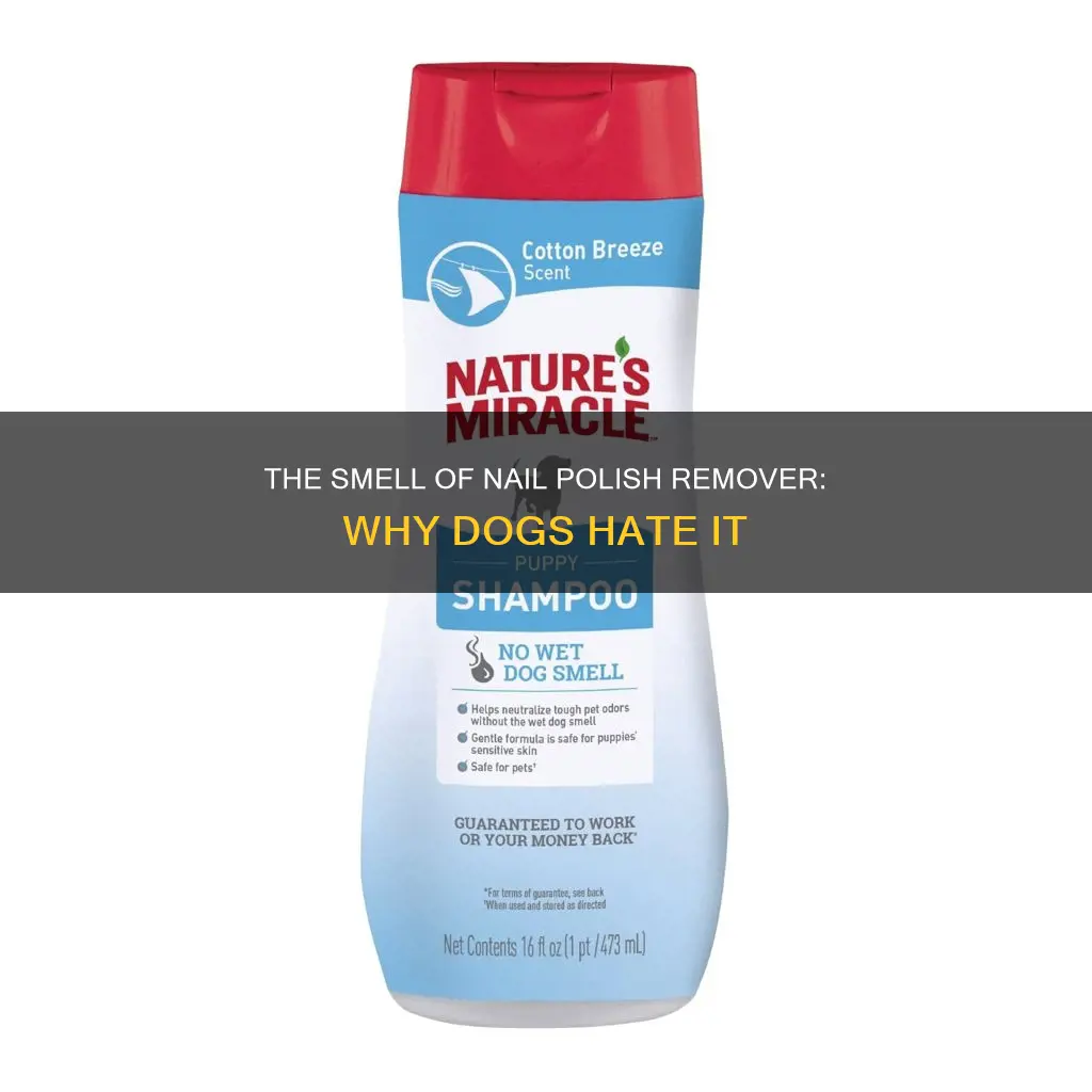 why does my dog hate nail polish remover
