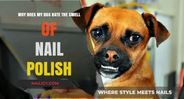 Why Dogs Despise Nail Polish: Uncovering the Smell Sensitivity