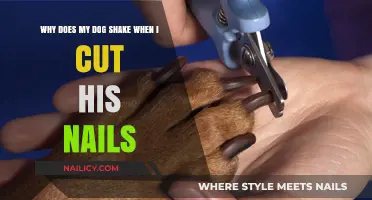 Calm Your Dog's Nail Cutting Anxiety