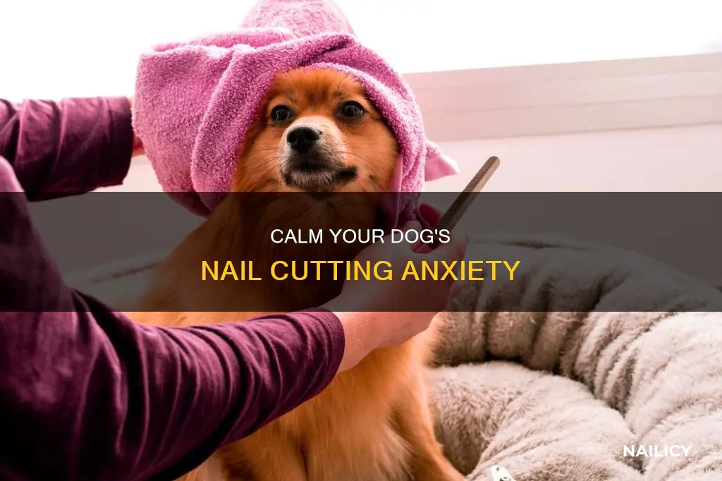 why does my dog shake when i cut his nails