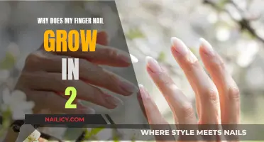 Nail Growth Mystery: Unlocking the 2-Month Transformation