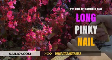 Gardeners' Pinky Nails: The Secret to Their Success