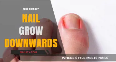 How Nails Grow Downwards: Anomalies Explained