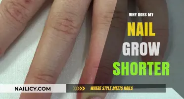 How Nails Grow: Trimming and Shortening Explained