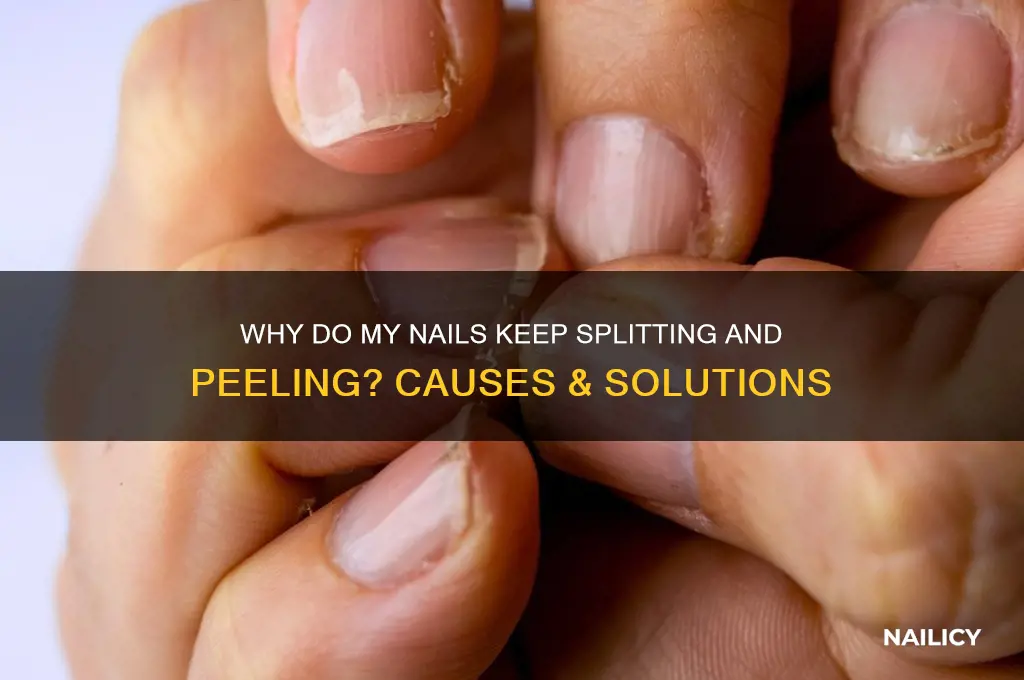 why does my nail keep splitting peeling