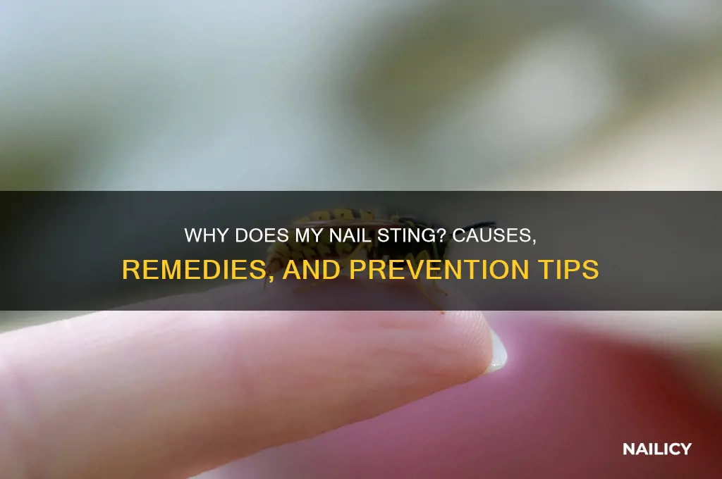why does my nail sting