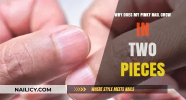 Pinky Nail Mystery: Why Does it Grow in Two Parts?