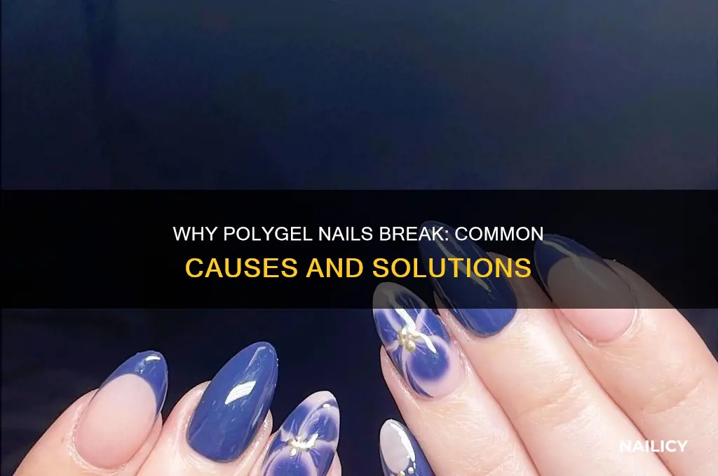 why does my polygel nails keep breaking