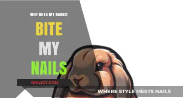 Why Rabbits Bite Nails: Understanding Your Bunny's Behavior