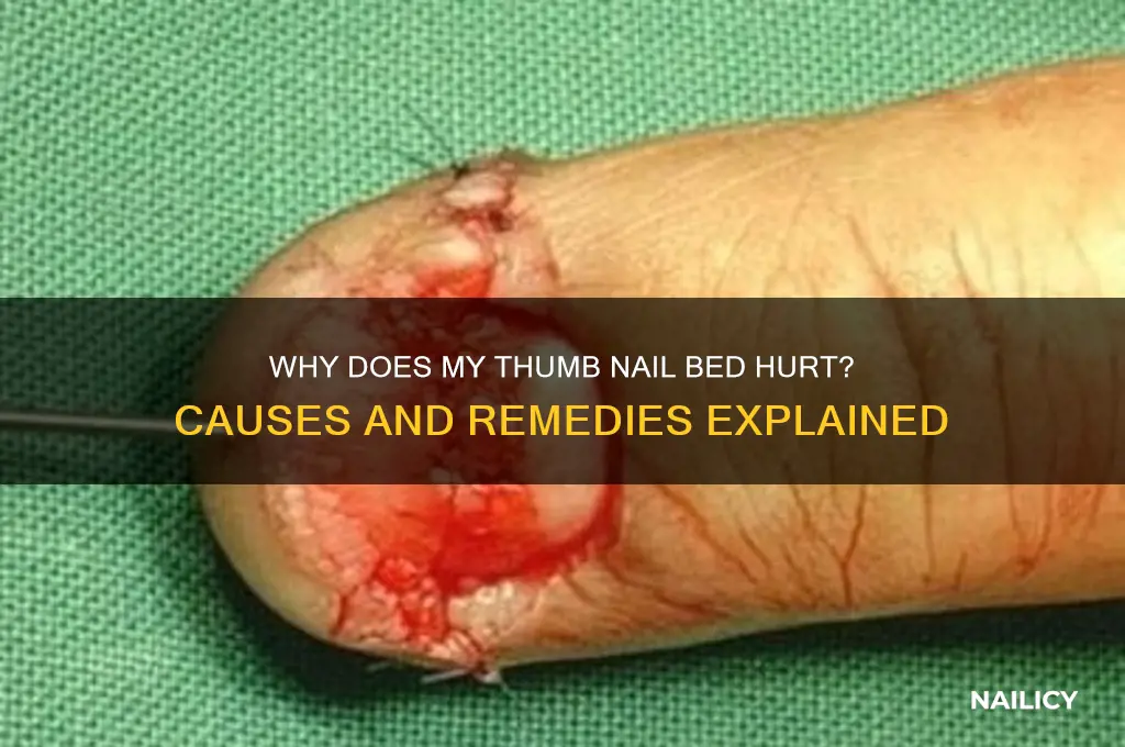 why does my thumb nail bed hurt