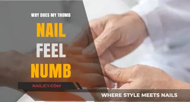 Why Your Thumb Nail Feels Numb: Causes and Solutions Explained