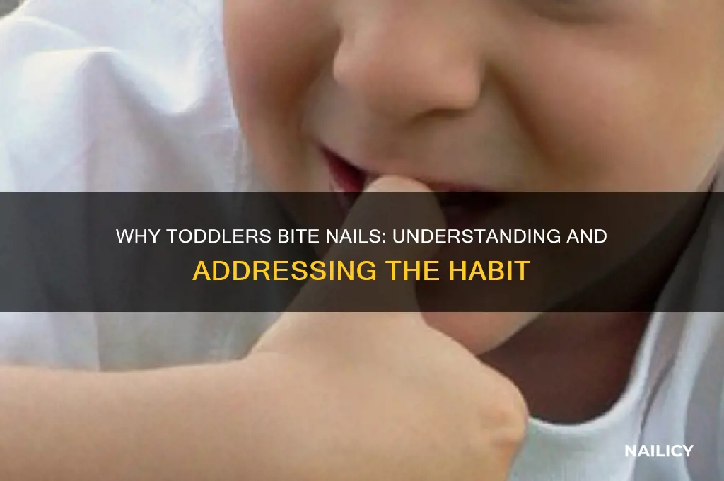 why does my toddler eat his nails
