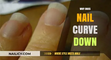 Why Do Fingernails Curve Down? Exploring the Science Behind Nail Shape