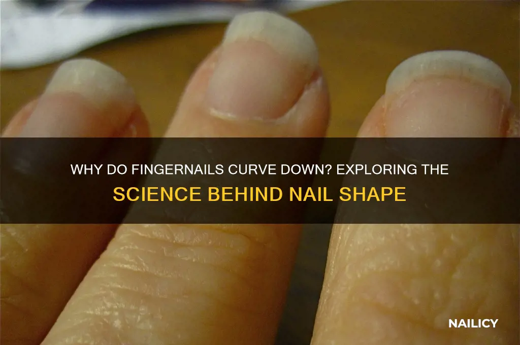 why does nail curve down