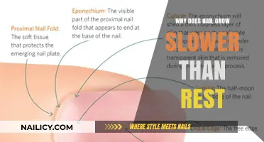 Nail Growth: Why is it Slower?