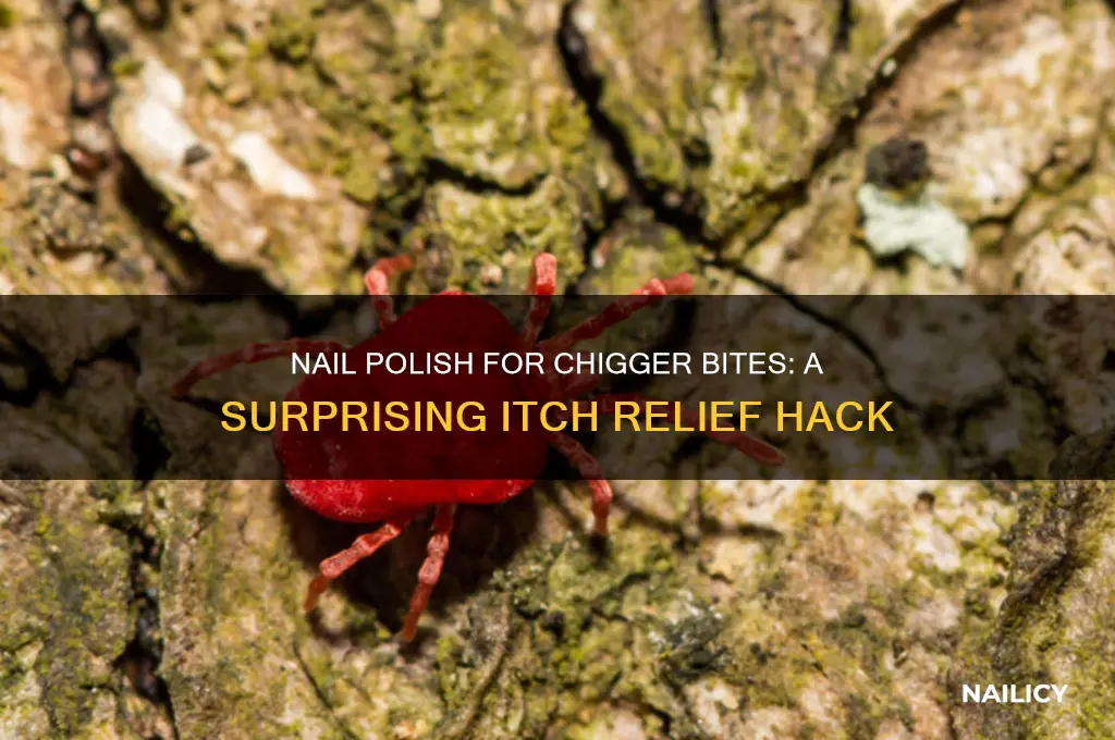 why does nail polish help chigger bites