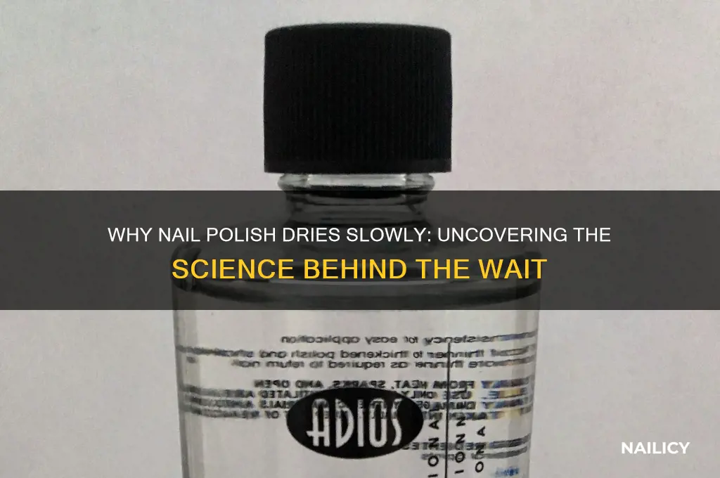 why does nail polish take so long to dry