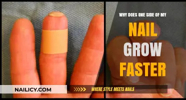 Nail Growth: Why Does One Side Grow Faster?