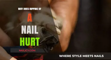 Why Ripping a Nail Hurts: Uncovering the Painful Truth
