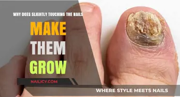 How Nails Grow: The Science Behind Nail Touching