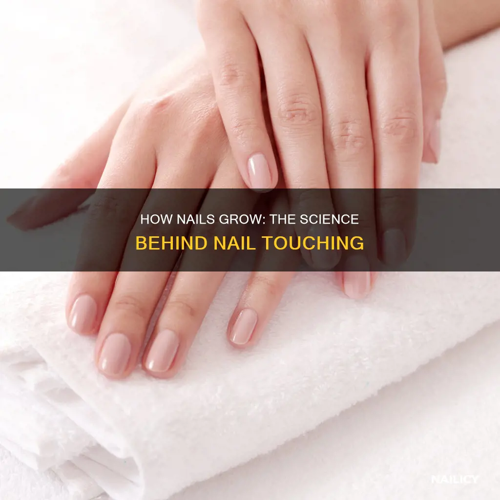 why does slightly touching the nails make them grow
