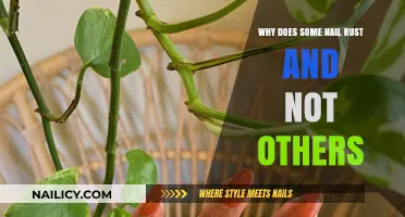 Why Some Nails Rust While Others Stay Shiny: Explained