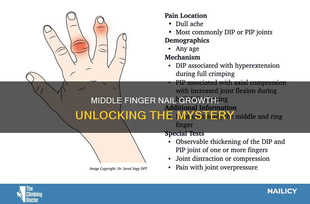 why does the middle finger finger nail grow faster