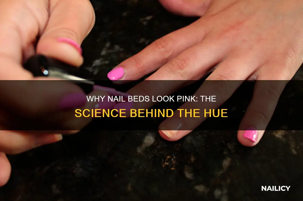 why does the nail bed appear pink