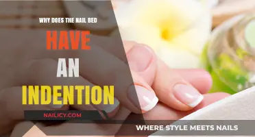 Understanding the Nail Bed's Indention: Causes and Significance Explained