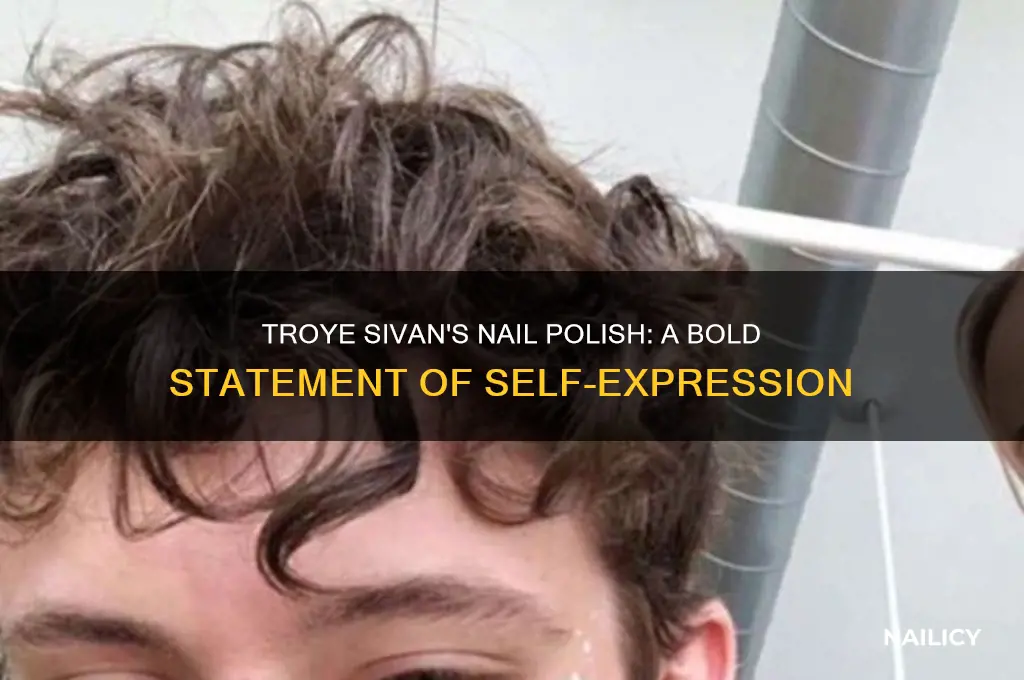why does troye sivan wear nail polish