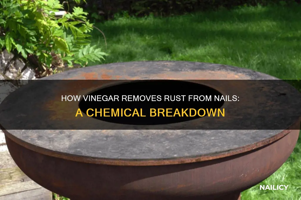 why does vinegar affect rust a nail
