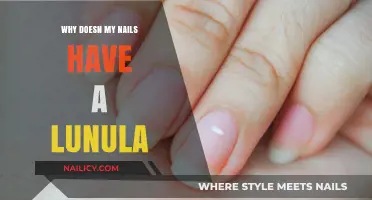 Why Some Nails Lack a Lunula: Causes and Concerns Explained