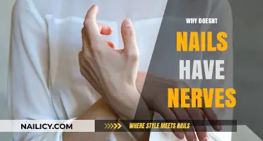 Why Nails Lack Nerves: Unraveling the Science Behind Sensitivity