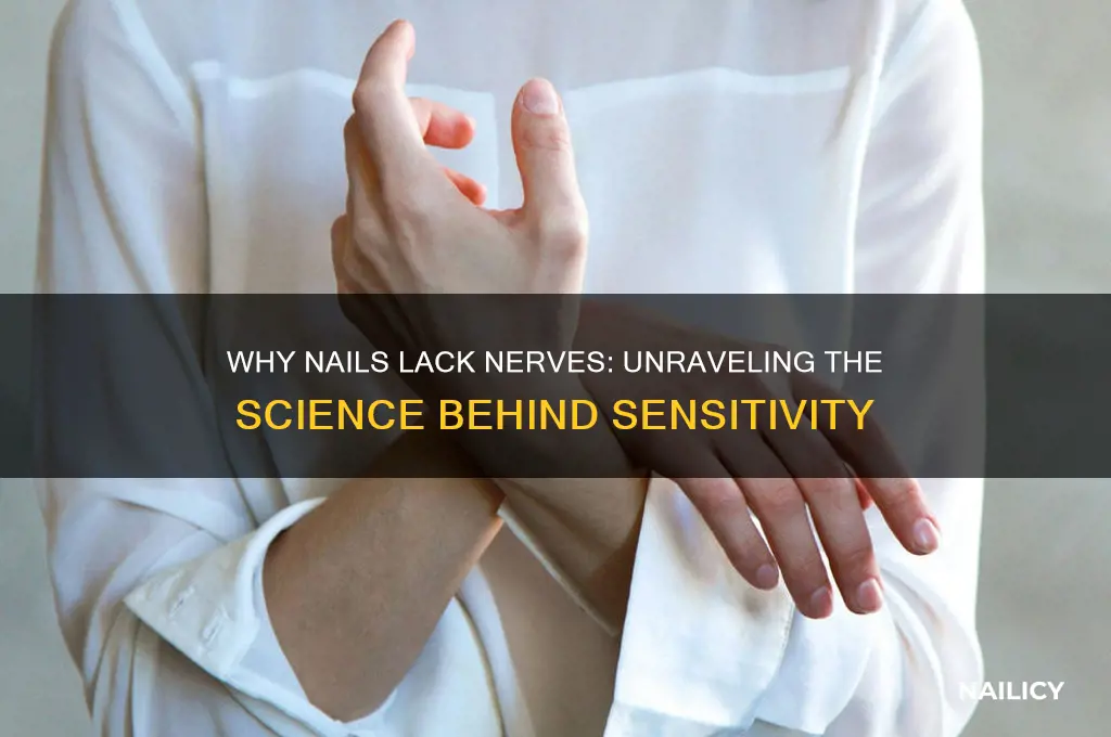 why doesnt nails have nerves