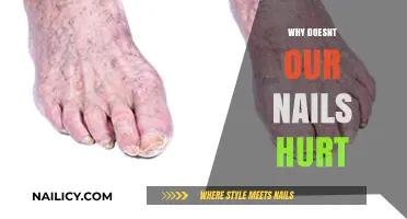 Why Don't Our Nails Hurt? Exploring the Science Behind Pain-Free Growth
