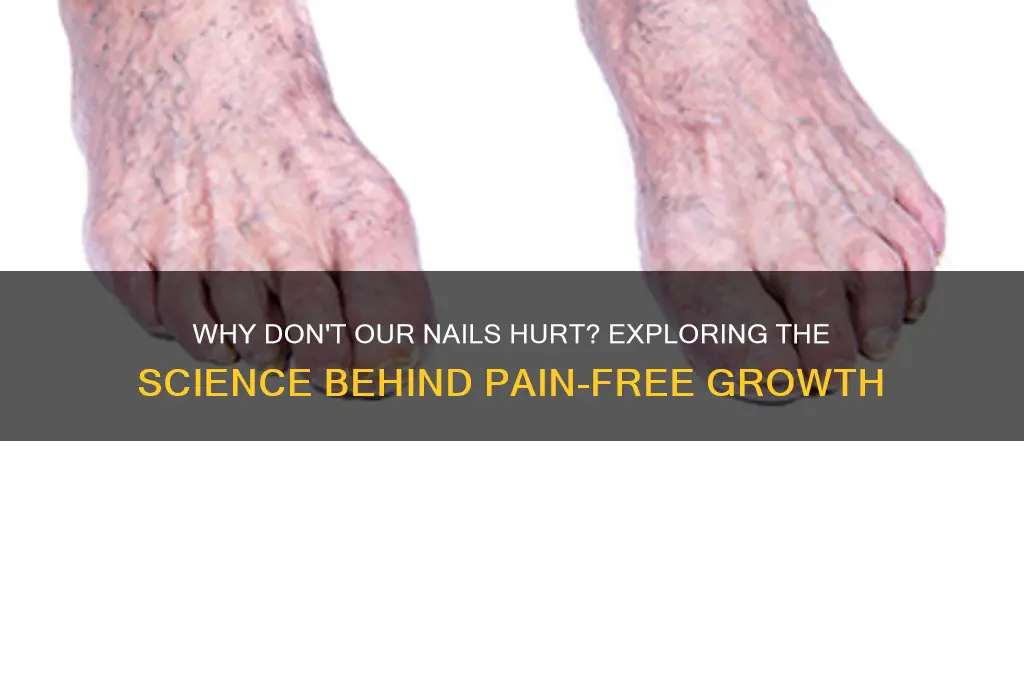 why doesnt our nails hurt