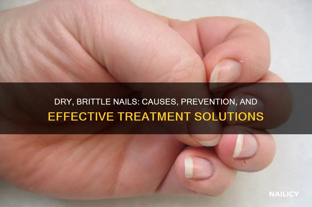 why dry brittle nails