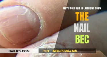 How Nails Grow: Understanding Fingertips and Health