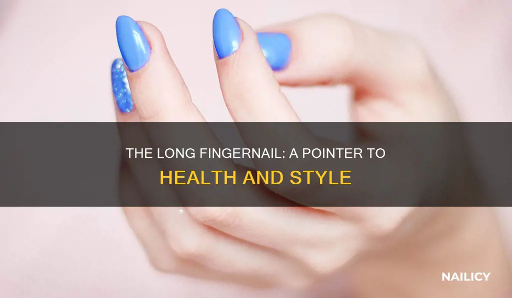 why grow out the pointer finger nail