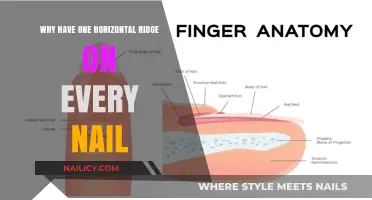 Understanding the Horizontal Ridge on Nails: Causes and Significance