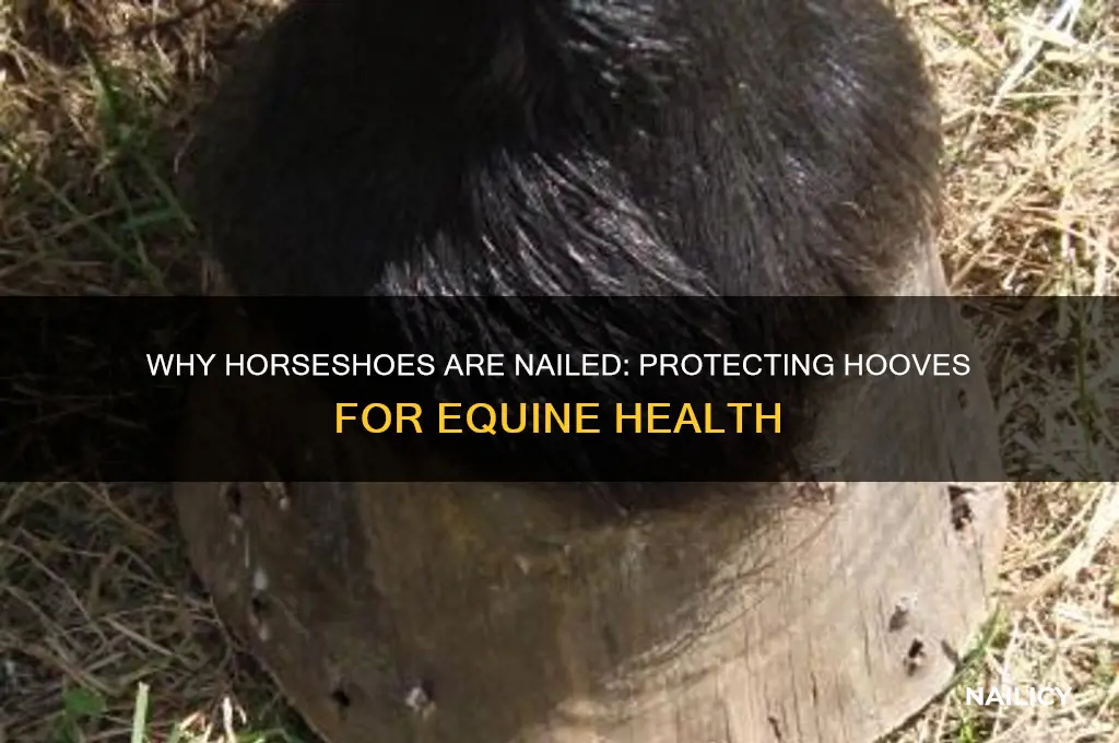 why horseshoes are nailed