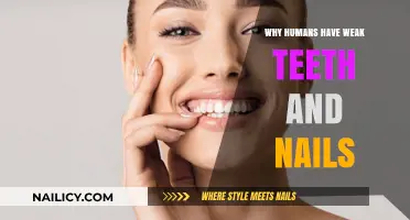 Why Do Humans Have Brittle Teeth and Fragile Nails?