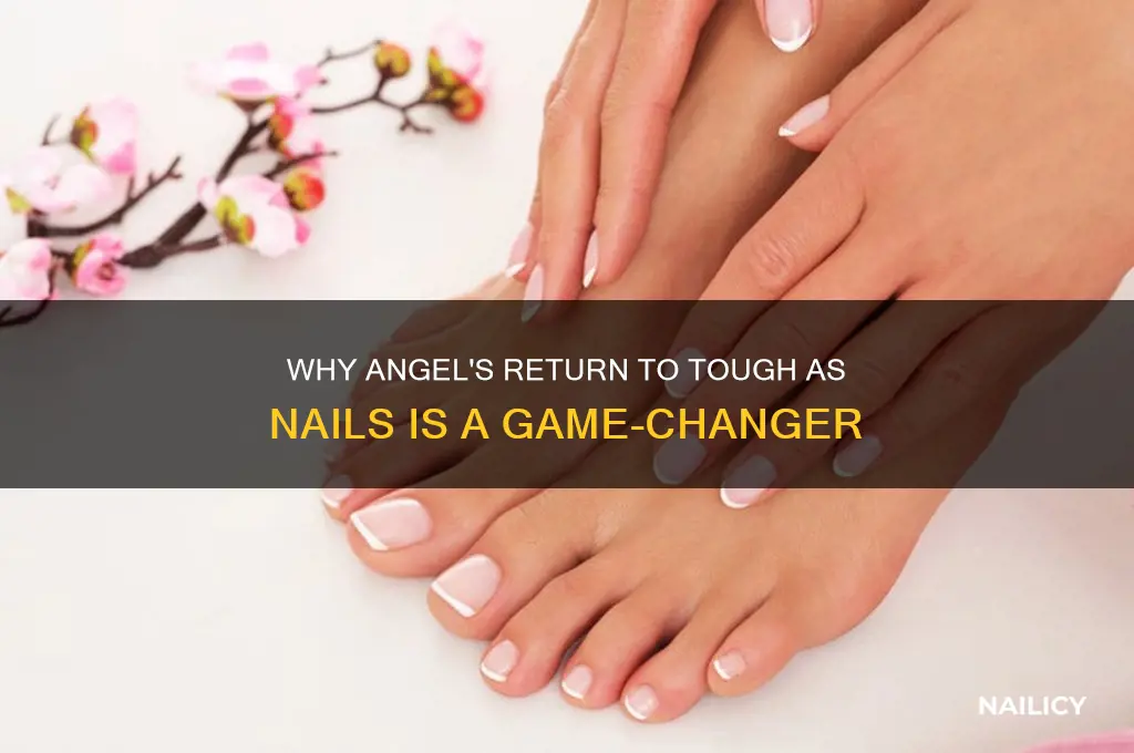 why is angel back on tough as nails