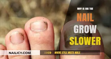 Big Toe Nail Growth: Why So Slow?