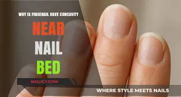 Understanding Fingernail Concavity: The Science Behind Nail Bed Curvature