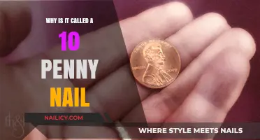 The Origin of the 10 Penny Nail: Unraveling the Name Mystery