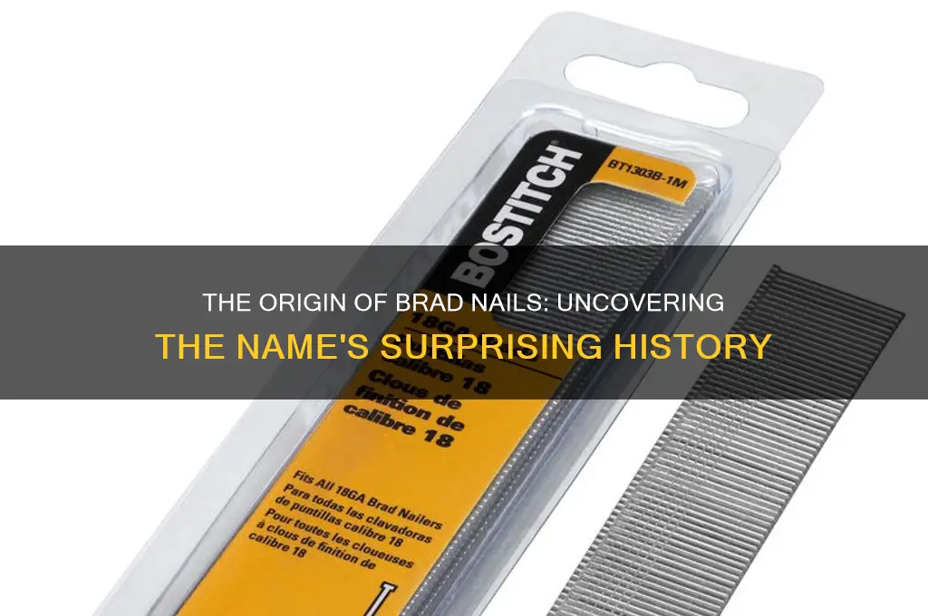 why is it called a brad nail