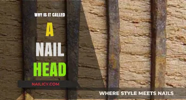 Unveiling the Origin: Why is it Called a Nail Head?