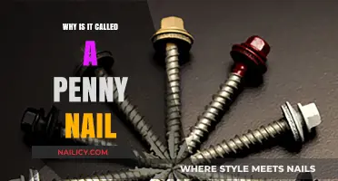 Why Penny Nail? Uncovering the Surprising History Behind the Name
