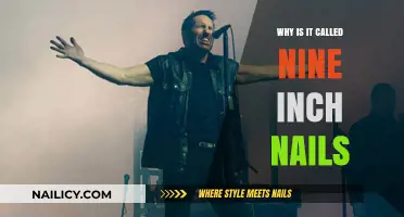 Unveiling the Mystery: The Origin of Nine Inch Nails' Name
